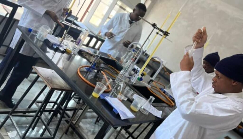 Borrowdale Academy International School