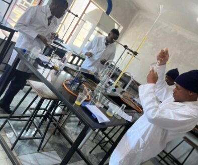 Borrowdale Academy International School