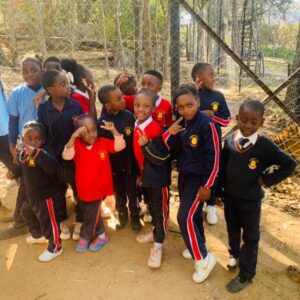 Primary School Primary School