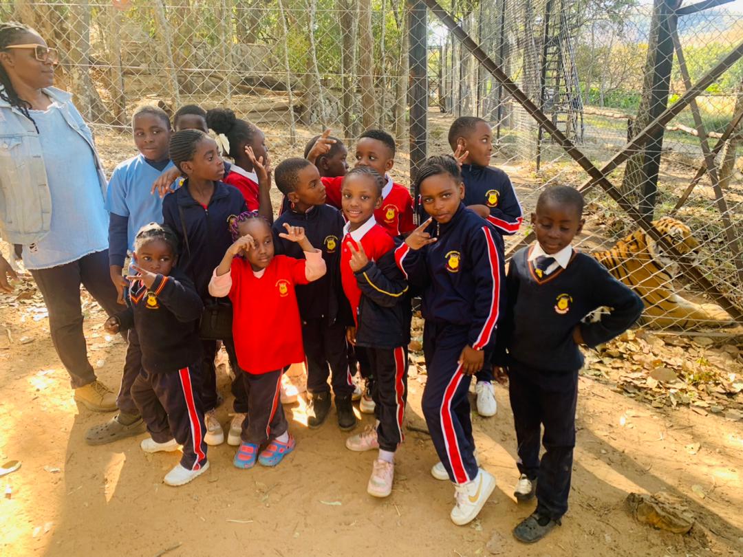 Learning Beyond the Classroom: A Roaring Success for Borrowdale Academy Primary