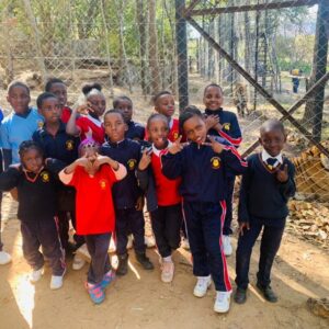 Primary School Primary School